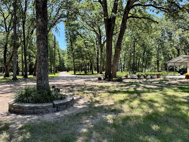 view of yard with a carport