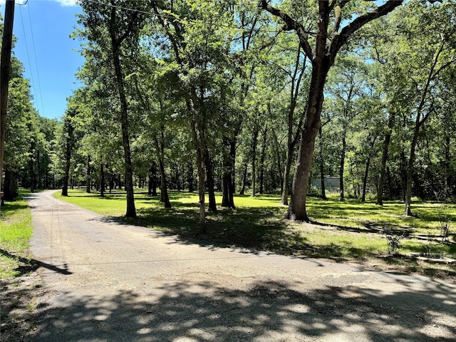 view of street