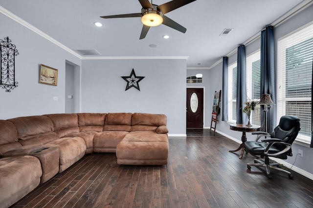 living room featuring ceiling fan, dark wood-type flooring, and ornamental molding