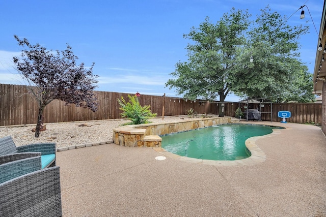 view of swimming pool featuring a patio area