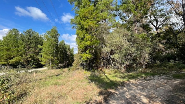 375 Rock Creek Dr, Trinity TX, 75862 land for sale