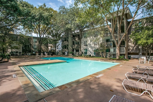 view of pool featuring a patio