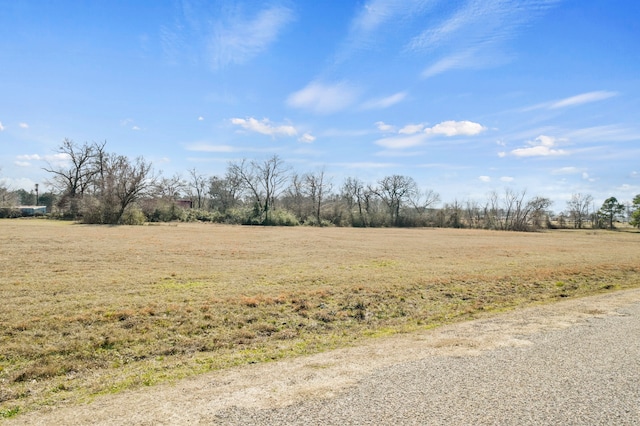 Listing photo 3 for TBD High Meadow Dr, Mount Vernon TX 75457