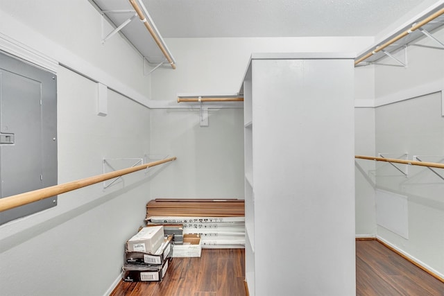 walk in closet featuring dark hardwood / wood-style flooring