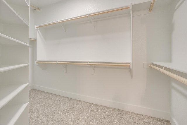 spacious closet featuring light colored carpet