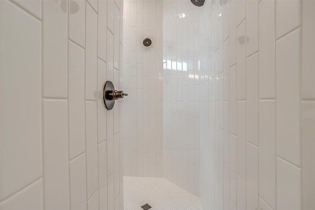 room details with tiled shower