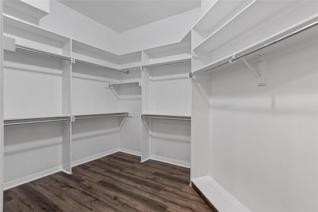 walk in closet featuring dark wood-type flooring