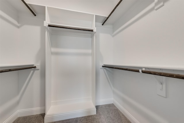 spacious closet featuring carpet