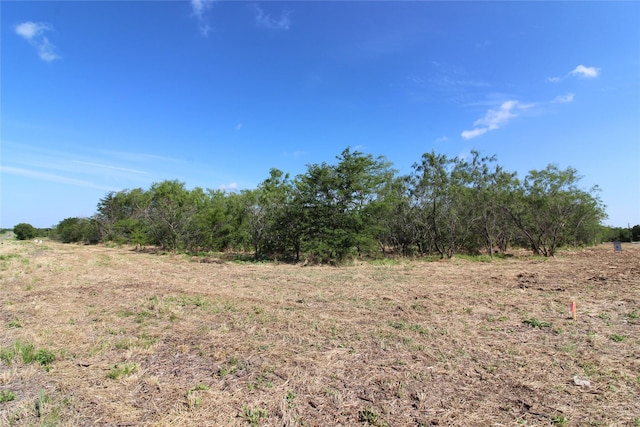 TBDLOT1 County Road 146, Kaufman TX, 75142 land for sale