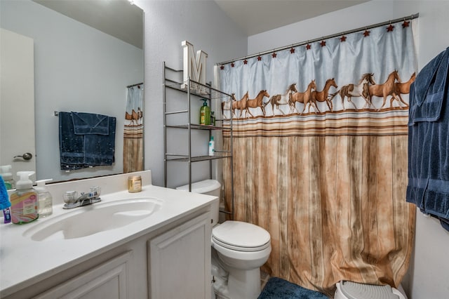 bathroom with toilet and vanity