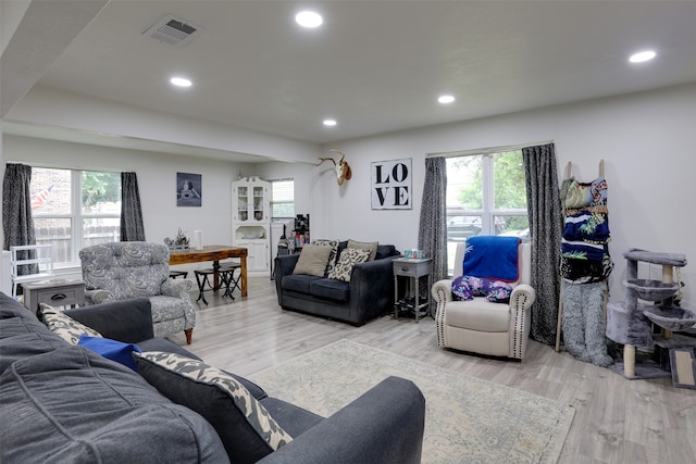 living room with light hardwood / wood-style flooring and plenty of natural light