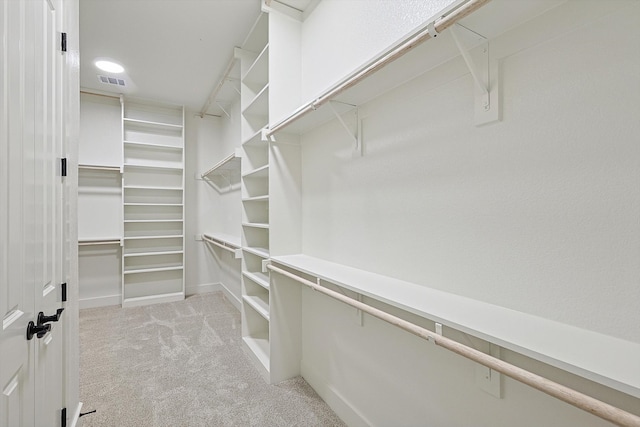 spacious closet with light carpet