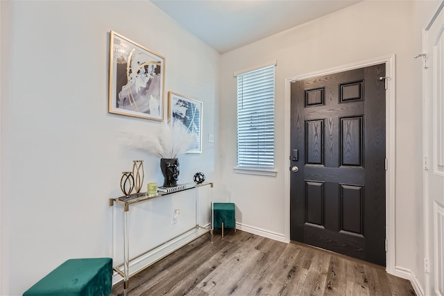 entrance foyer with wood-type flooring