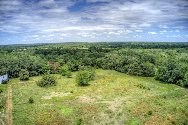 Listing photo 3 for TBD County Road 3226, Lone Oak TX 75453