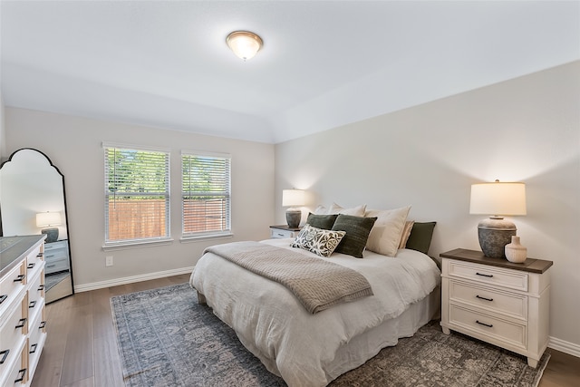 bedroom featuring dark wood-type flooring