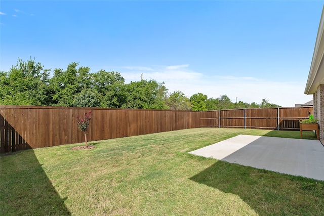 view of yard featuring a patio area