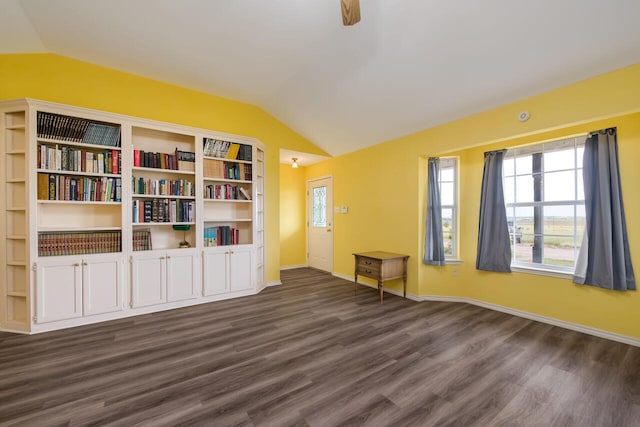 interior space featuring vaulted ceiling and dark hardwood / wood-style flooring