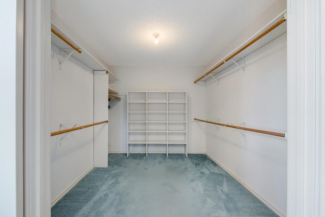 walk in closet featuring carpet