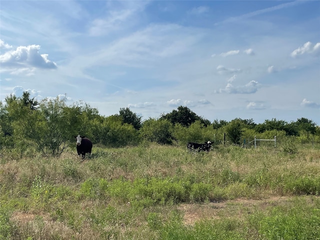 TBD Fm-1658, Bridgeport TX, 76426 land for sale