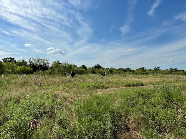 Listing photo 2 for TBD Fm-1658, Bridgeport TX 76426