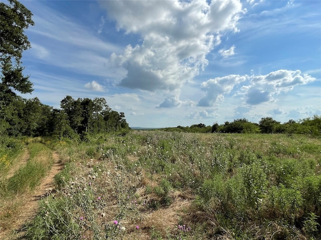 Listing photo 3 for TBD Fm-1658, Bridgeport TX 76426