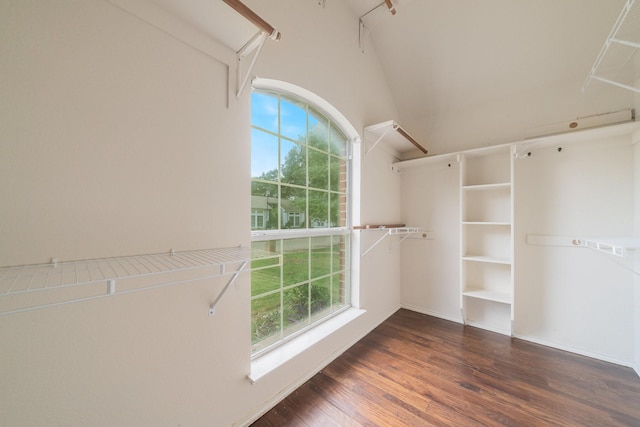 spacious closet with dark hardwood / wood-style flooring and vaulted ceiling