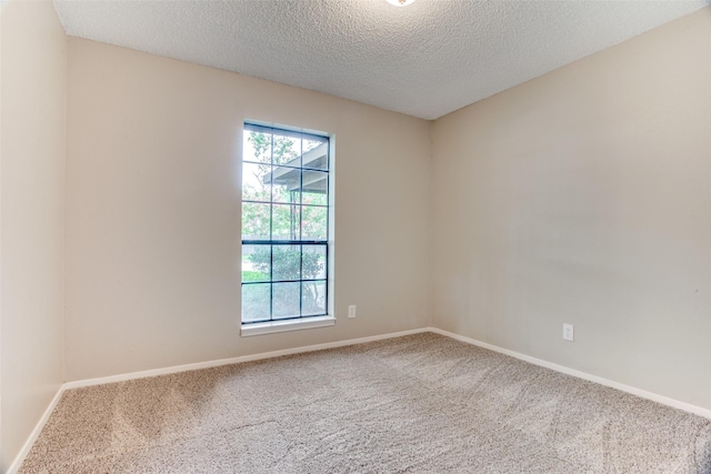 empty room featuring carpet flooring and a textured ceiling