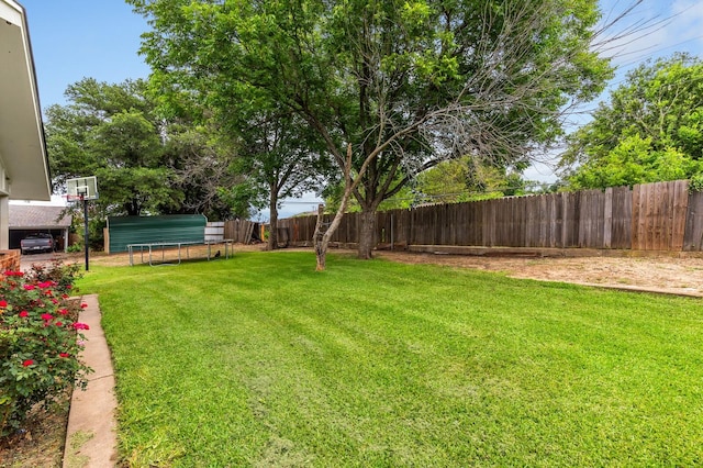1302 E Franklin St, Hillsboro, TX 76645 - view of yard