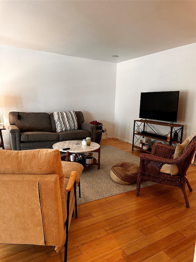 living room featuring wood finished floors