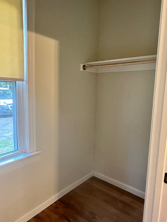 spacious closet with dark wood-type flooring