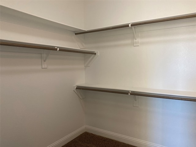 walk in closet with carpet flooring