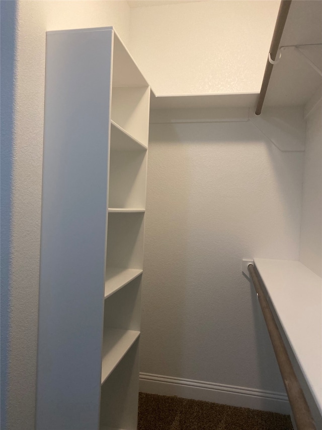 spacious closet with carpet