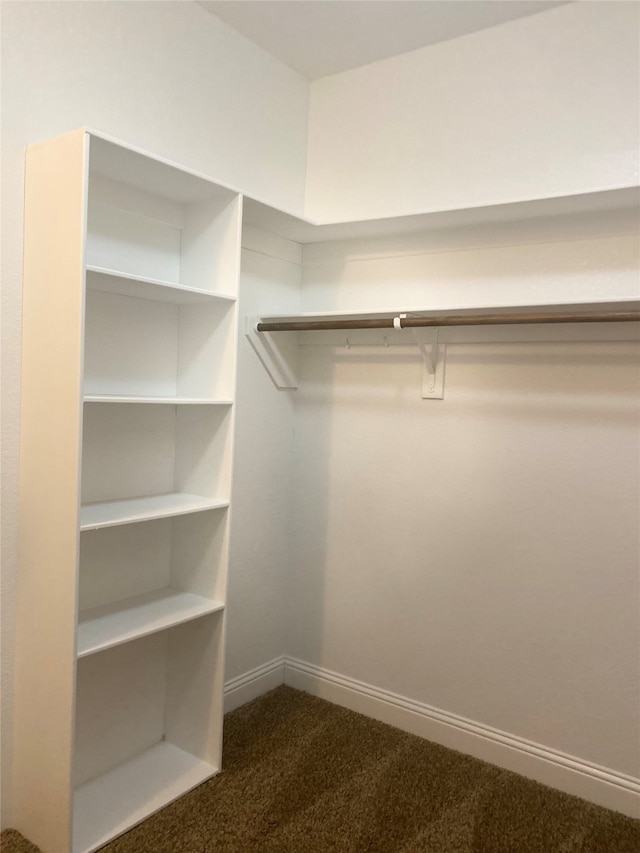 spacious closet featuring dark colored carpet