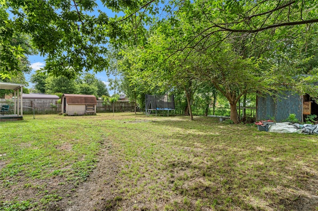 view of yard with a shed and a trampoline