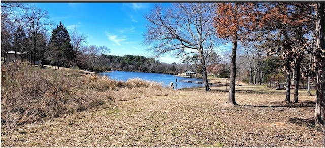 9030 Mallard Way, Larue TX, 75770 land for sale