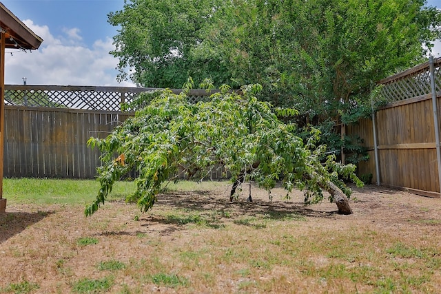 view of yard