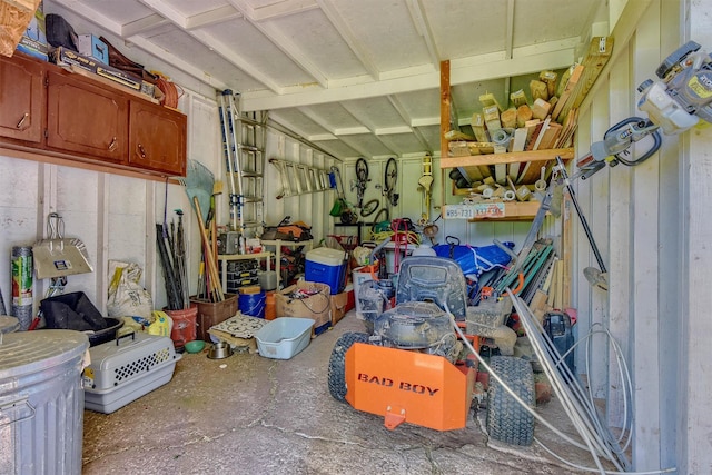 storage room with a garage