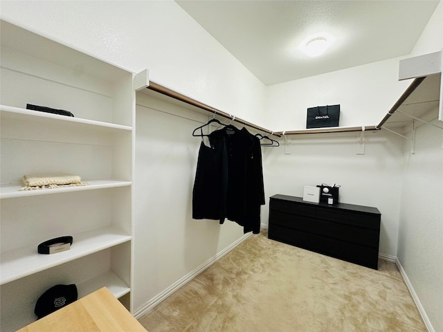 spacious closet with light carpet