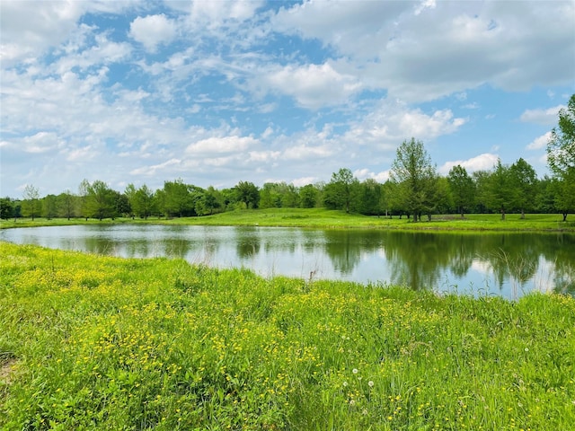 property view of water