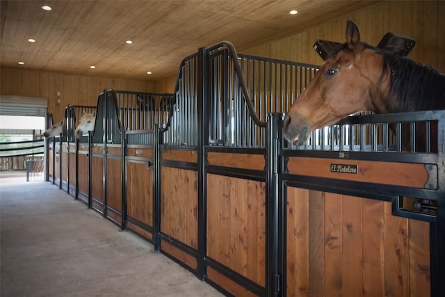 view of horse barn