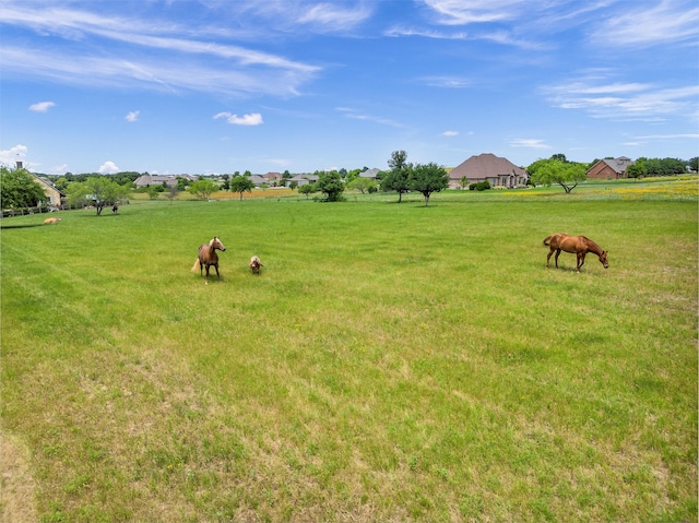 view of yard with a rural view