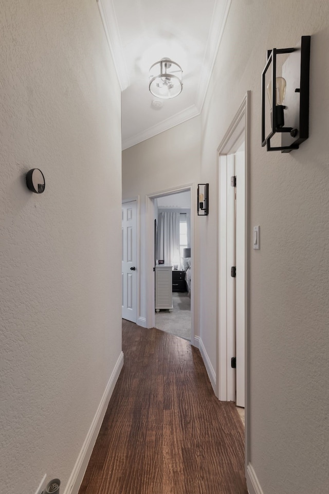 hall with dark hardwood / wood-style flooring and crown molding