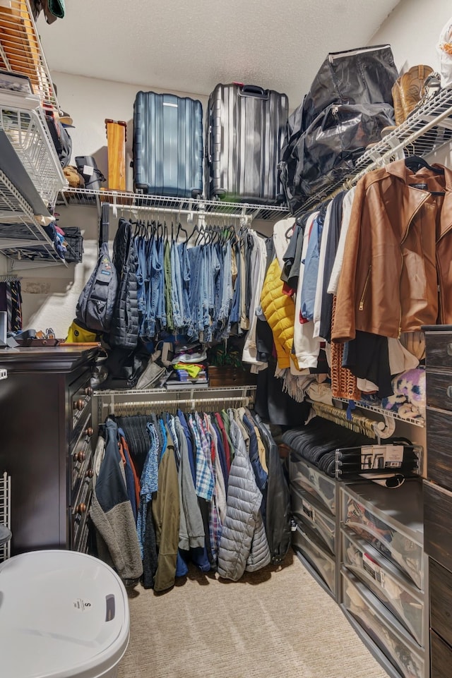 spacious closet featuring carpet flooring