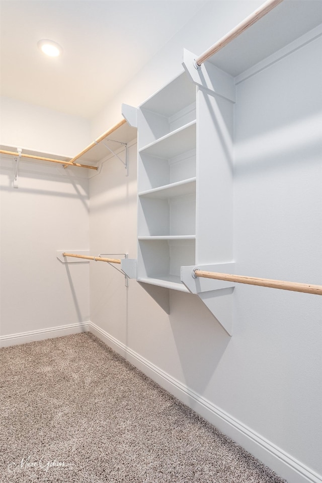 spacious closet with carpet floors