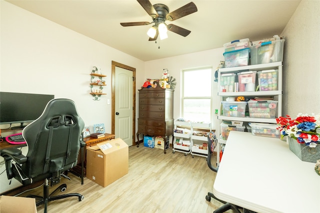 office space featuring ceiling fan and light hardwood / wood-style floors