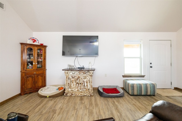 living room with wood-type flooring