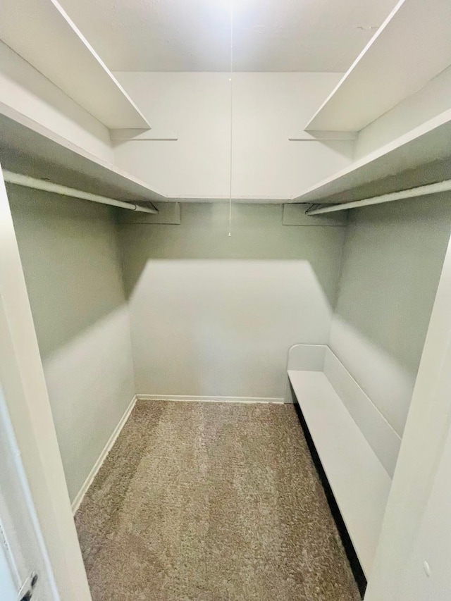 spacious closet featuring carpet floors