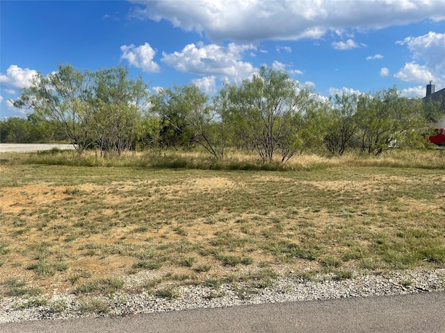 Listing photo 3 for LOT6 Water Ridge Dr, Possum Kingdom Lake TX 76449