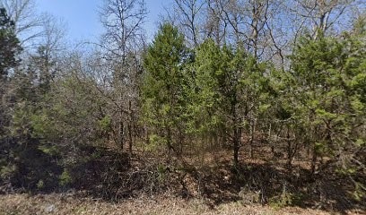 6210 Texas Trl, Granbury TX, 76048 land for sale