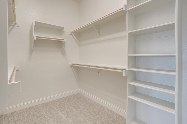 spacious closet featuring carpet flooring